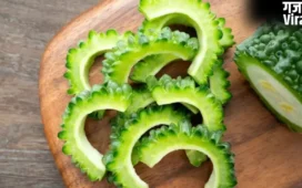 Bitter Gourd: करेले के साथ गलती से भी न खाएं ये 5 चीजें, वरना पड़ जाएंगे लेने के देने!