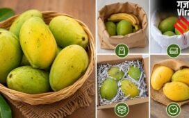 पुराने समय में कैसे पकाते थे आम, इन 5 देसी तरीकों से प्राकृतिक रूप से होते हैं रसदार