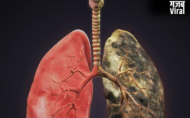 फल-सब्जियों से कैसे फैल रहा है लंग्स कैंसर, रिसर्च में हुआ चौंकाने वाला खुलासा
