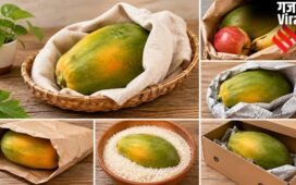 नहीं खाना मार्केट का पपीता, तो घर पर इन 3 देसी तरीकों से पकाएं