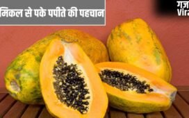 Adulteration in Papaya: केमिकल से पके हुए पपीते की कैसे करें पहचान? ये तरीके आएंगे काम