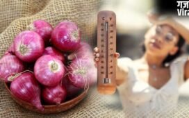 Heatstroke Myths: जेब में प्याज रखने से क्या लू से बचाव होता है? एक्सपर्ट ने दिया इसका जवाब