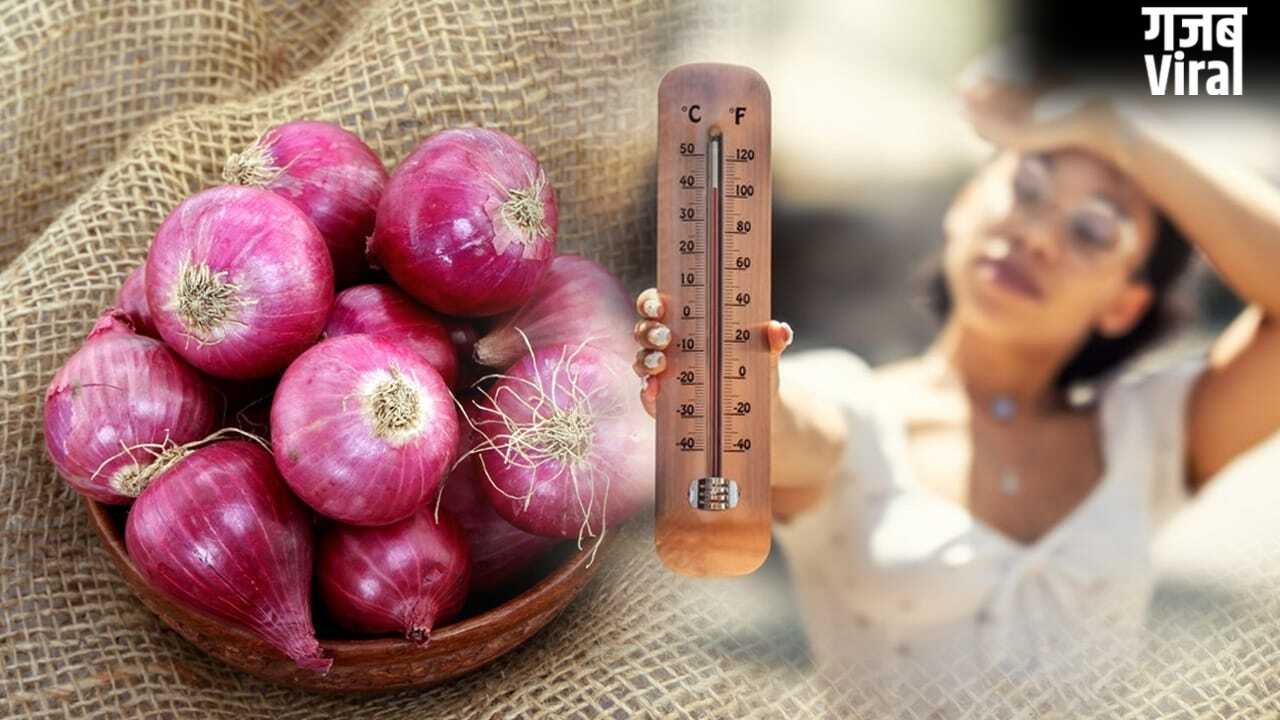 Heatstroke Myths: जेब में प्याज रखने से क्या लू से बचाव होता है? एक्सपर्ट ने दिया इसका जवाब