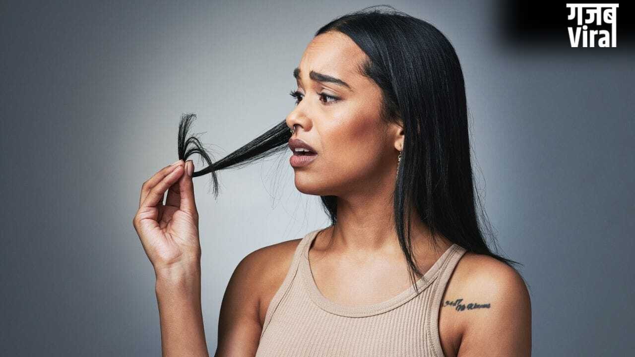 Hair Care Tips: सिर्फ धूल मिट्टी ही नहीं…इन कारणों की वजह से भी दो मुंह हो जाते हैं बाल, ऐसे करें ठीक