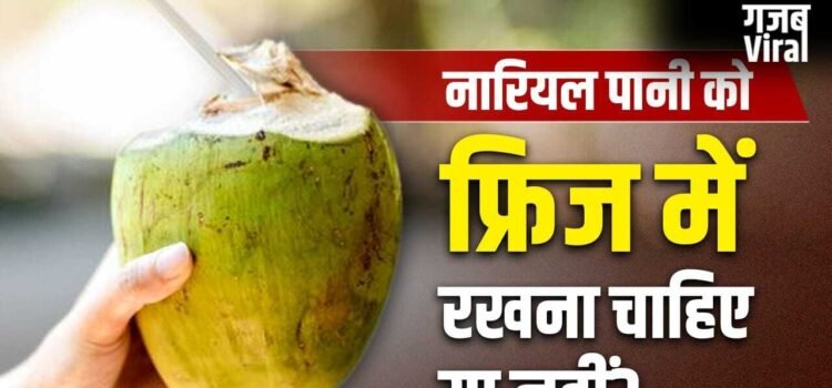 Coconut Water: खोलने के बाद नारियल पानी को फ्रिज में रखना सही है या गलत? ये कब हो जाता है खराब?