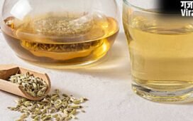 गर्मियों में रोजाना खाली पेट सौंफ का पानी पीने से क्या होता है ? एक्सपर्ट से जानें