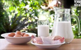 सबसे बड़ा मिथक, क्या मछली के साथ दूध नहीं पीना चाहिए, ऐसा करने से क्या होता है?