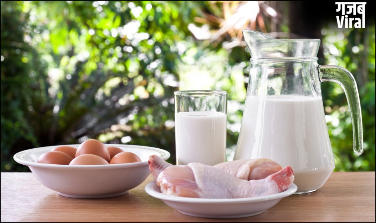 सबसे बड़ा मिथक, क्या मछली के साथ दूध नहीं पीना चाहिए, ऐसा करने से क्या होता है?