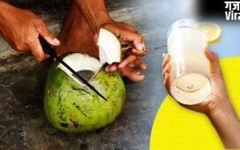 Lemonade vs Coconut Water: नींबू की शिकंजी या कोकोनट वाटर, गर्मी में लू से बचाव के लिए क्या है बेहतर