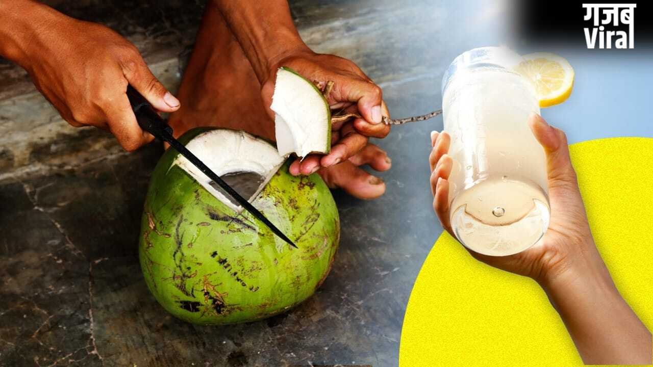 Lemonade vs Coconut Water: नींबू की शिकंजी या कोकोनट वाटर, गर्मी में लू से बचाव के लिए क्या है बेहतर