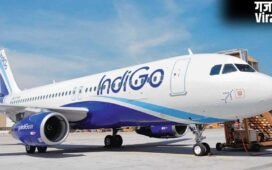 लखनऊ एयरपोर्ट के रवने पर अचानक आया बंदर, पायलट ने लगाया इमरजेंसी ब्रेक; 132 यात्रियों की जान बची