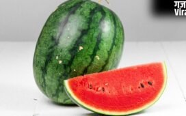 कहीं केमिकल से पका तरबूज तो नहीं खा रहे हैं आप? इन टिप्स को फॉलो कर मिलावटी Watermelon की करें पहचान