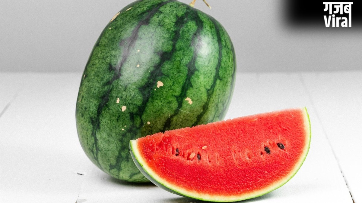कहीं केमिकल से पका तरबूज तो नहीं खा रहे हैं आप? इन टिप्स को फॉलो कर मिलावटी Watermelon की करें पहचान