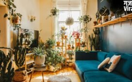 भीषण गर्मी में घर को ठंडा रखते हैं ये इनडोर प्लांट्स, बिना देखभाल के भी हरियाली रहेगी कायम