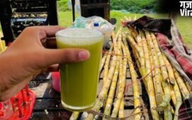 एनर्जी का पावरहाउस है गन्ने का जूस, लेकिन इन लोगों के लिए हो सकता है खतरनाक, जानें किन लोगों को नहीं पीना चाहिए?