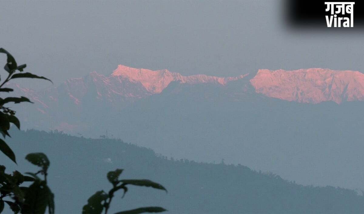 Nepal Airlines का India Map विवाद: भारी बवाल के बाद मांगी माफी, पोस्ट डिलीट की