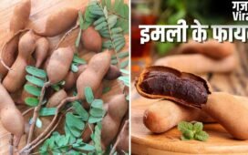 कच्ची से पकी इमली तक…इसे खाने से मिलते हैं शरीर को ढेरों अलग-अलग फायदे