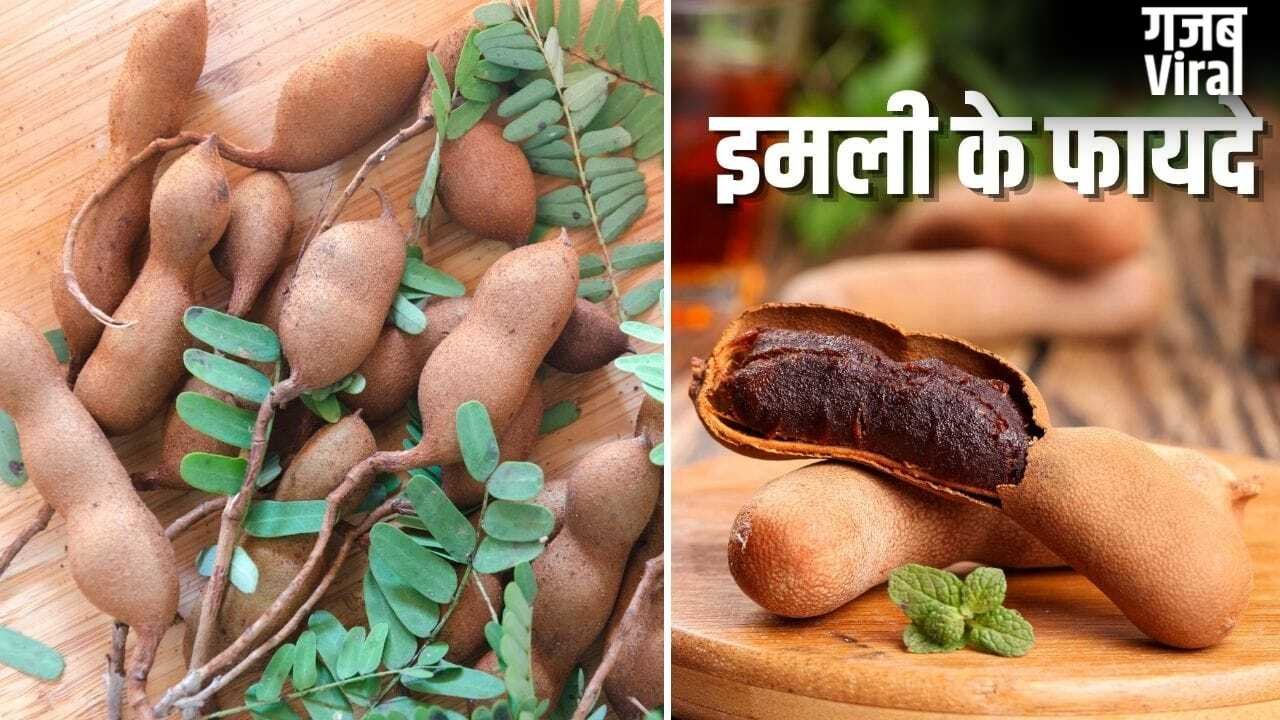 कच्ची से पकी इमली तक…इसे खाने से मिलते हैं शरीर को ढेरों अलग-अलग फायदे