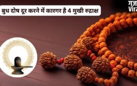 कुंडली में बुध कमजोर हो या दे रहा हो अशुभ प्रभाव, 4 मुखी रुद्राक्ष कम करेगा इसका नकारात्मक असर, जानिए फायदे