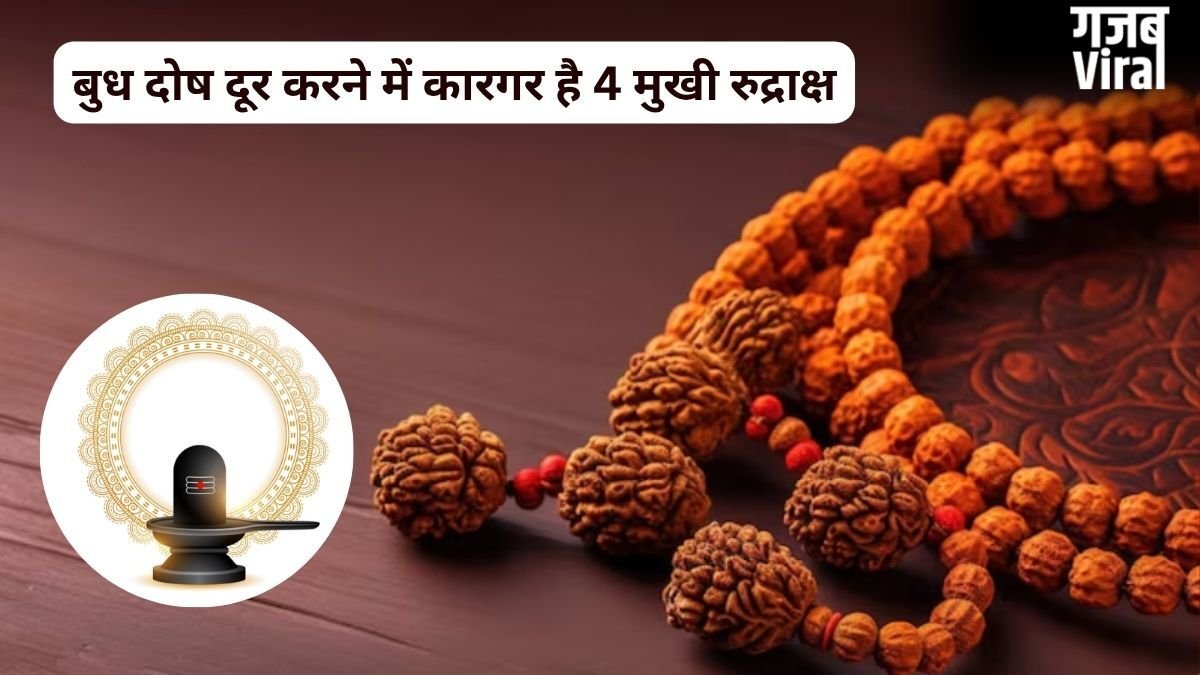 कुंडली में बुध कमजोर हो या दे रहा हो अशुभ प्रभाव, 4 मुखी रुद्राक्ष कम करेगा इसका नकारात्मक असर, जानिए फायदे
