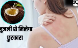 Summer Skin Care Remedy: गर्मी से हो रही खुजली-महीन दानों का होगा सफाया, नारियल तेल में मिलाकर लगा लें ये 1 चीज