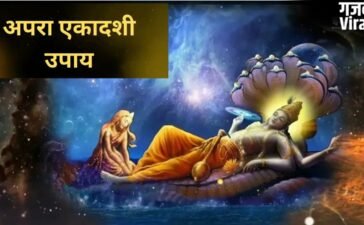 Ekadashi Upay: हर काम में आ रही है बाधा? अपरा एकादशी पर करें ये अचूक उपाय, कट जाएंगे सारे दुख-पाप!​