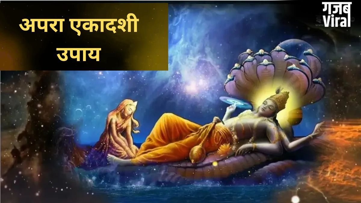 Ekadashi Upay: हर काम में आ रही है बाधा? अपरा एकादशी पर करें ये अचूक उपाय, कट जाएंगे सारे दुख-पाप!​
