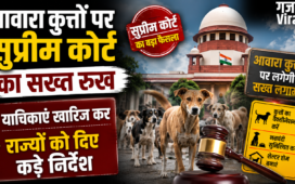 आवारा कुत्तों पर सुप्रीम कोर्ट का सख्त रुख,याचिकाएं खारिज कर राज्यों को दिए कड़े निर्देश