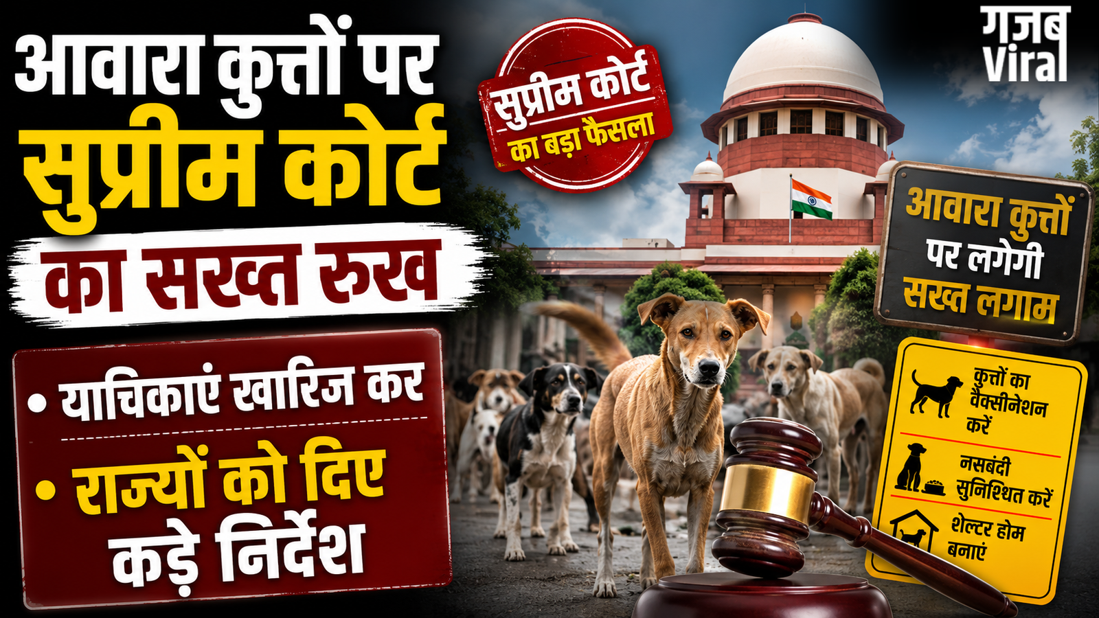 आवारा कुत्तों पर सुप्रीम कोर्ट का सख्त रुख,याचिकाएं खारिज कर राज्यों को दिए कड़े निर्देश