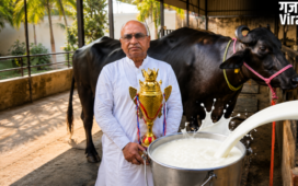 यूपी में सबसे ज्यादा दूध देने वाली सहारनपुर की भैंस गार्गी, जानें इसकी खासियत