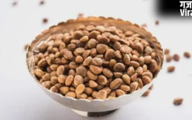 Chironji Benefits: सिर्फ स्वाद नहीं, सेहत का खजाना है चिरौंजी, फायदे जान चौंक जाएंगे आप​