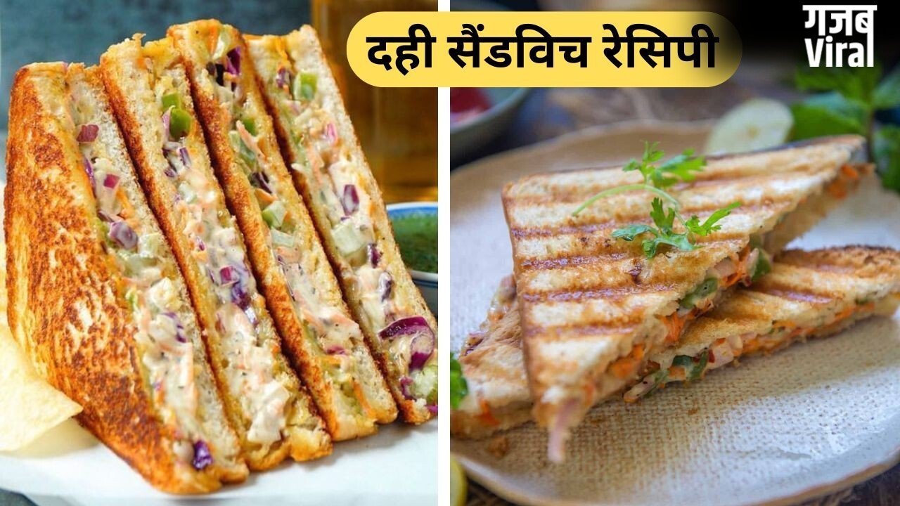 बच्चे रोजाना एक जैसा नाश्ता खाकर हो गए हैं बोर तो नाश्ते में दही से बनाएं सैंडविच, नोट करें 3 रेसिपी​