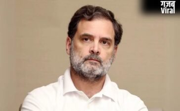 राहुल गांधी ने थलपति विजय से फोन पर की बातचीत, तमिलनाडु में जीत की दी बधाई