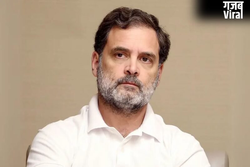 राहुल गांधी ने थलपति विजय से फोन पर की बातचीत, तमिलनाडु में जीत की दी बधाई