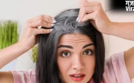Grey Hair: कम उम्र में ही क्यों सफेद हो जाते हैं बाल? जानिए इसकी वजह