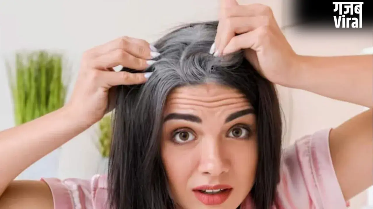 Grey Hair: कम उम्र में ही क्यों सफेद हो जाते हैं बाल? जानिए इसकी वजह