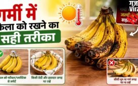 गर्मी में जल्दी गलने-सड़ने लगते हैं केले, लंबे समय तक ताजा रखने के आसान तरीके​