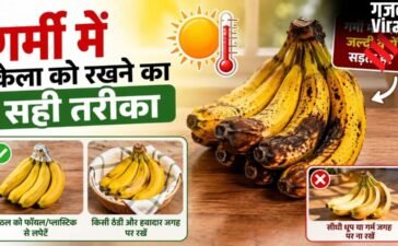 गर्मी में जल्दी गलने-सड़ने लगते हैं केले, लंबे समय तक ताजा रखने के आसान तरीके​