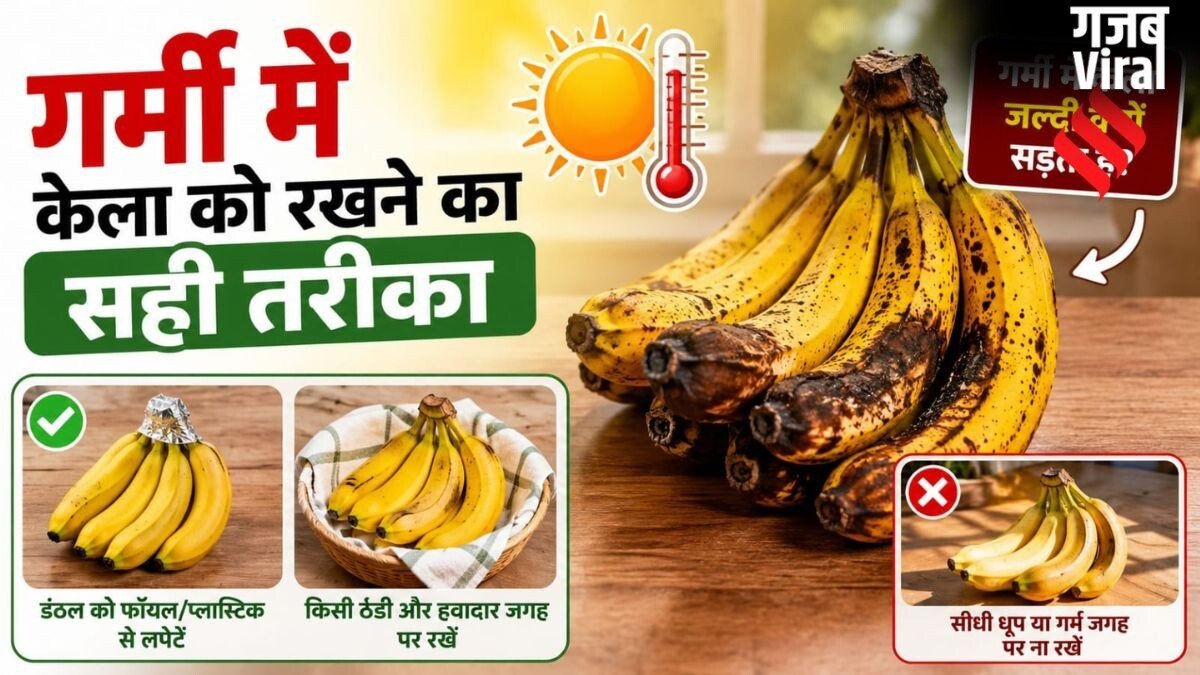 गर्मी में जल्दी गलने-सड़ने लगते हैं केले, लंबे समय तक ताजा रखने के आसान तरीके​