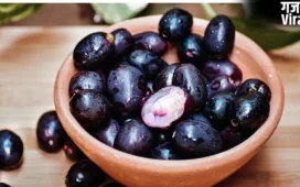 Jamun Health Benefits: डायबिटीज का दुश्मन जामुन, कैसे प्रेग्नेंट महिलाओं के लिए है वरदान? जानिए इसकी खूबियां​