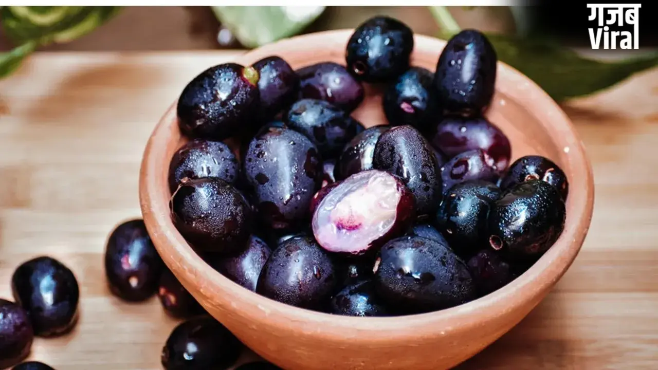 Jamun Health Benefits: डायबिटीज का दुश्मन जामुन, कैसे प्रेग्नेंट महिलाओं के लिए है वरदान? <span class=