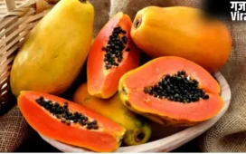 Papaya Benefits: पपीता के फ़ायदे जानकर हो जाएंगे हैरान! हड्डी ही नहीं बालों के लिए भी संजीवनी से कम नहीं