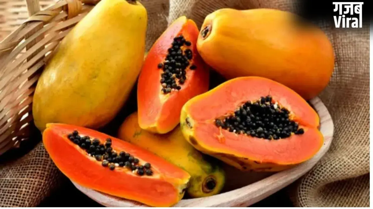 Papaya Benefits: पपीता के फ़ायदे जानकर हो जाएंगे हैरान! हड्डी ही नहीं बालों के लिए भी संजीवनी से कम नहीं
