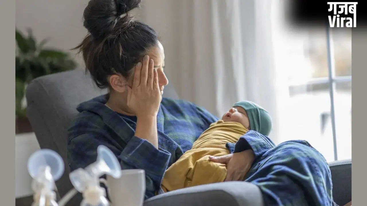 Postpartum Depression: डिलीवरी के बाद क्यों होती है माएं PPD का शिकार, ऐसे रखें अपनी मेंटल हेल्थ का ध्यान​