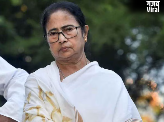 जिन मुस्लिम सीटों पर था ममता को कॉन्फिडेंस, TMC को वहां कैसे लगा झटका