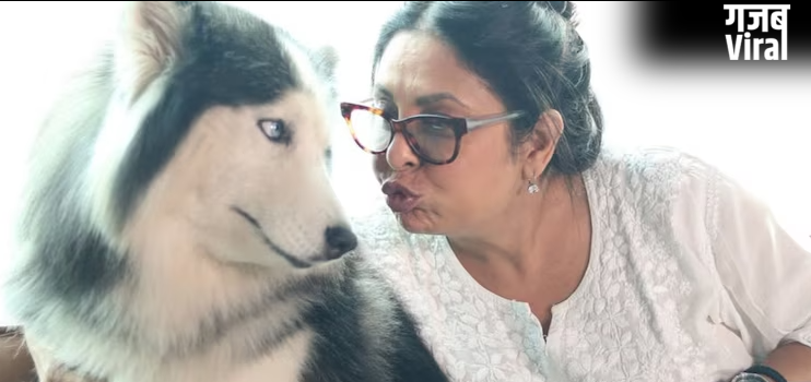 ‘बच्चे पैदा मत करो, कुत्ते पाल लो’, 2 बच्चों की मां शेफाली शाह, लड़कियों को दे डाली अनोखी सलाह, बयान वायरल​