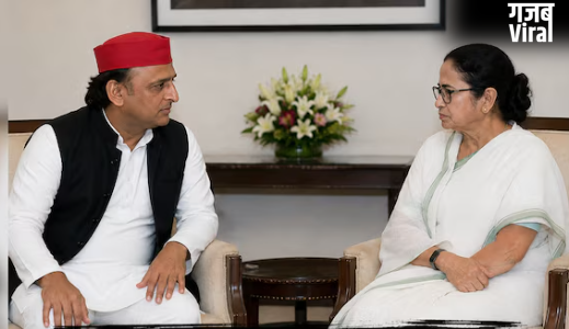 ‘दीदी आप हारी नहीं हैं…’, चुनावी शिकस्त के बाद ममता से मिले अखिलेश, BJP को जमकर कोसा