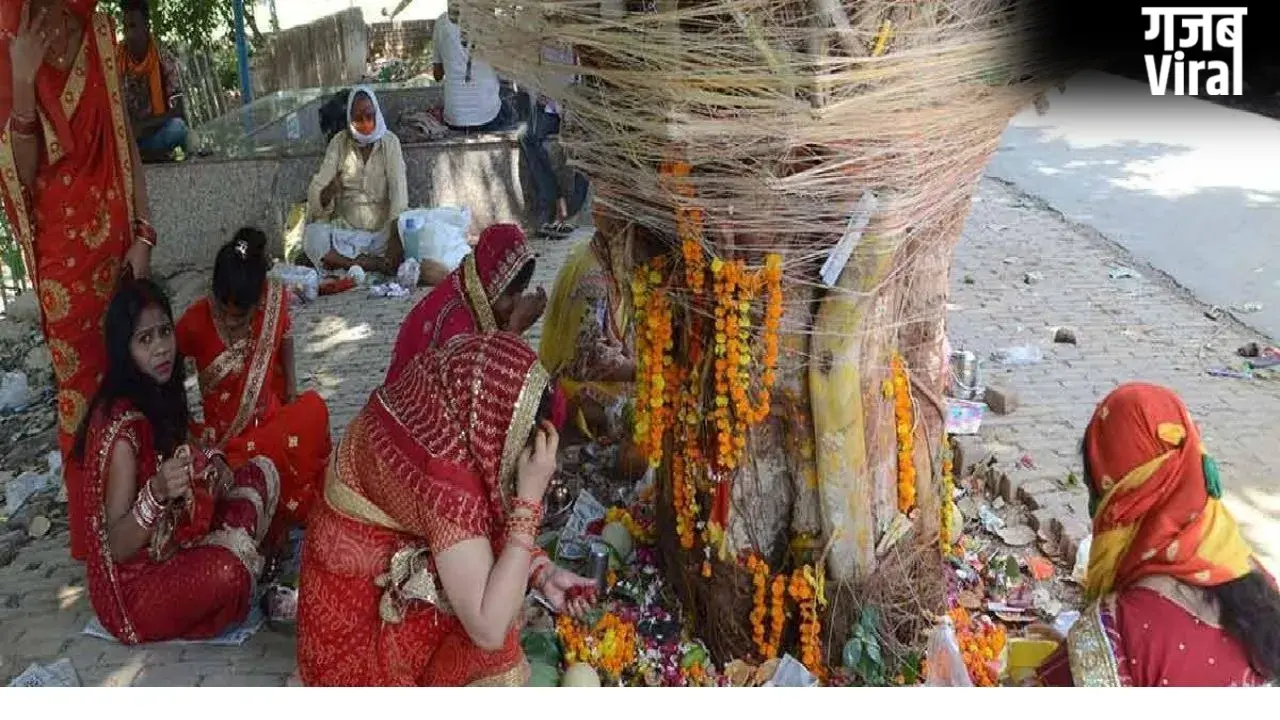 Vat Savitri Vrat Katha : आज वट सावित्री व्रत में अवश्य पढ़ें यह कथा, इसके बिना अधूरी मानी जाती है पूजा​