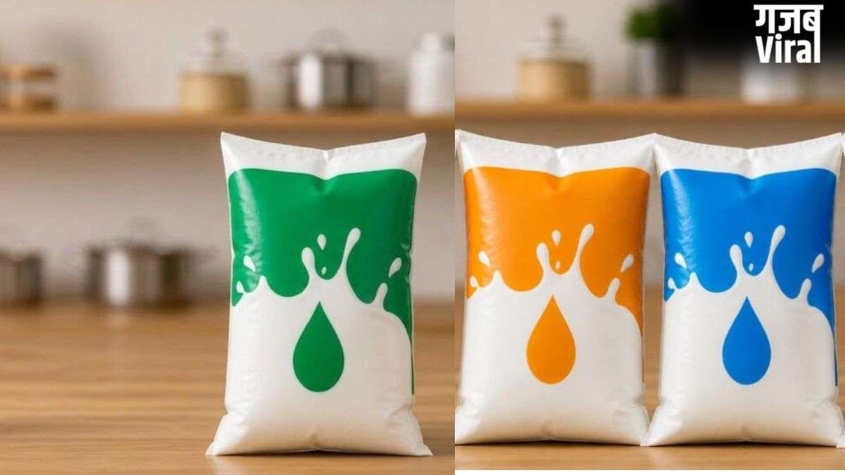 दूध के पैकेटों पर बने नीले, हरे और नारंगी रंगों का क्या मतलब होता है? कौन सा Milk है बेस्ट?