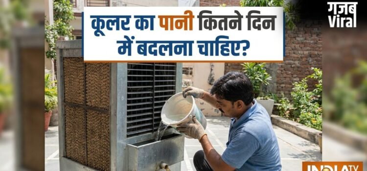 कूलर का पानी कितने दिन में बदलना चाहिए? इतने दिन में बदलने से नहीं होंगे मच्छर, मक्खी​